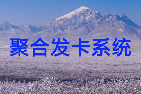 聚合个人发卡网最新完整版